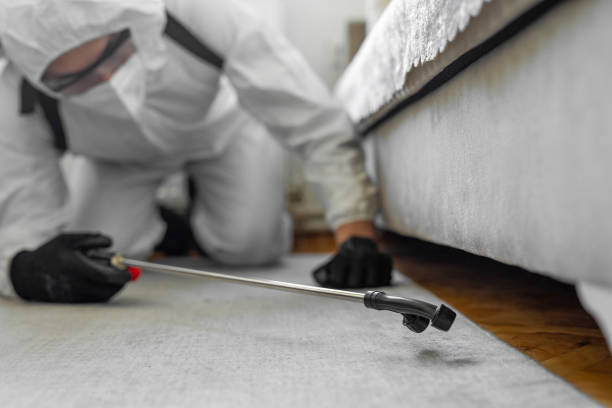 Professional Termite Control technician working in Edcouch, TX