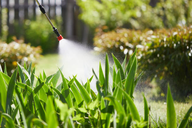 24/7 Emergency Termite Control experts in Edcouch, TX